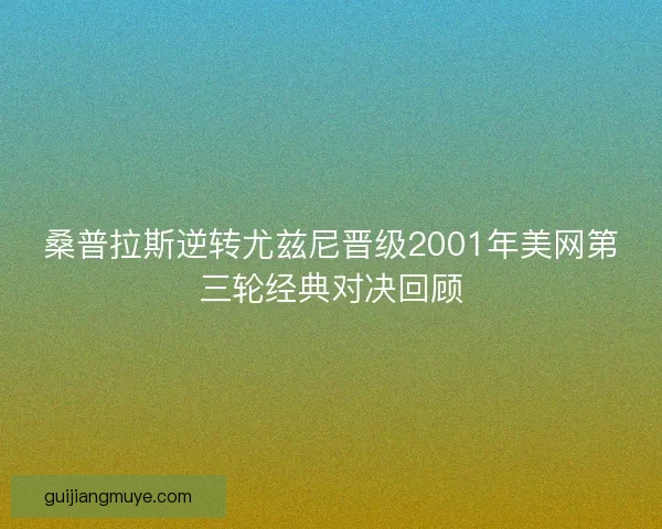 桑普拉斯逆转尤兹尼晋级2001年美网第三轮经典对决回顾