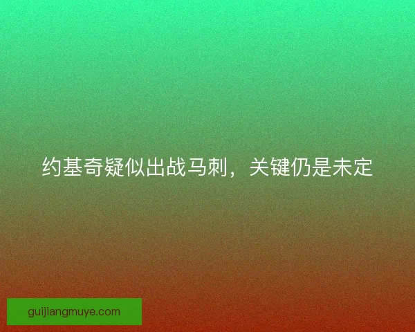 约基奇疑似出战马刺，关键仍是未定