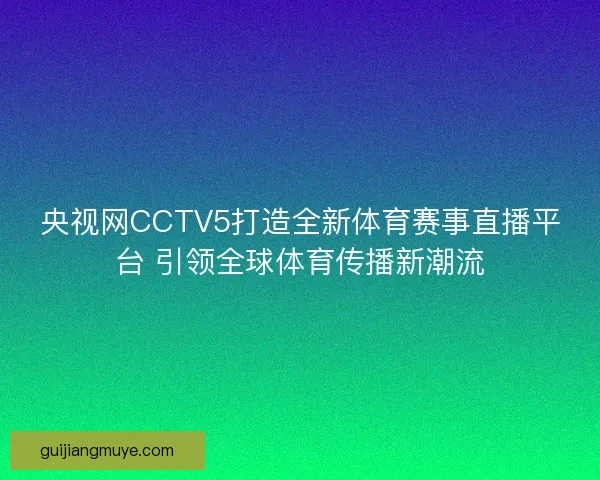央视网CCTV5打造全新体育赛事直播平台 引领全球体育传播新潮流 央视网CCTV5打造全新体育赛事直播平台 引领全球体育传播新潮流