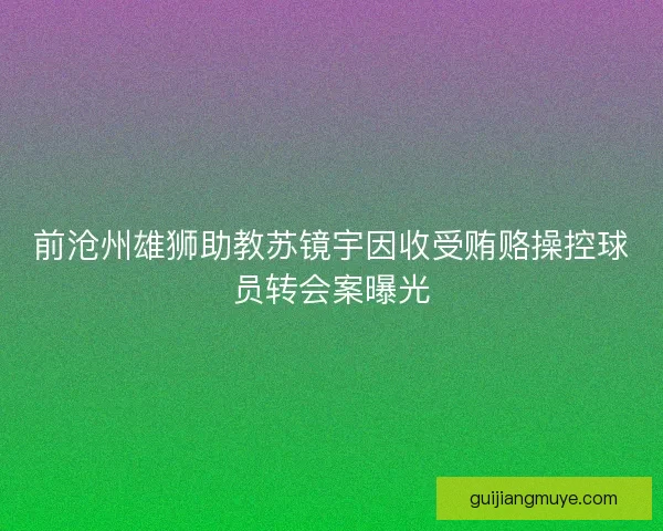 前沧州雄狮助教苏镜宇因收受贿赂操控球员转会案曝光