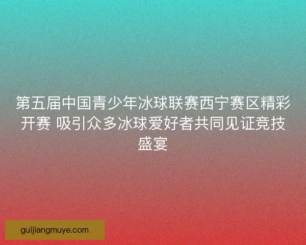 第五届中国青少年冰球联赛西宁赛区精彩开赛 吸引众多冰球爱好者共同见证竞技盛宴