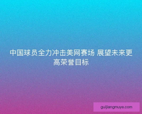 中国球员全力冲击美网赛场 展望未来更高荣誉目标