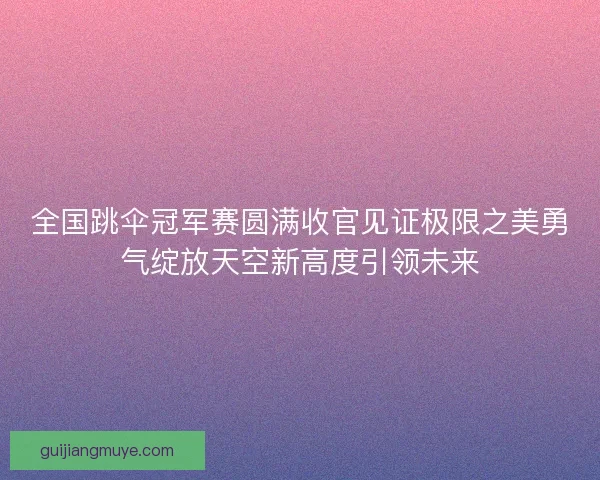 全国跳伞冠军赛圆满收官见证极限之美勇气绽放天空新高度引领未来
